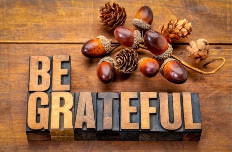 Happy Thanksgiving: Reflecting on What We Are Most Grateful For