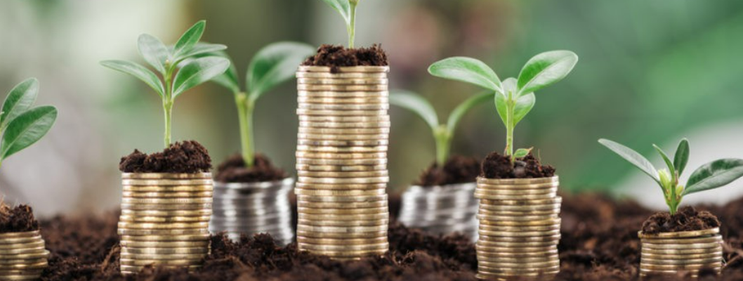 3 Value Drivers You Can Start Installing Right Now