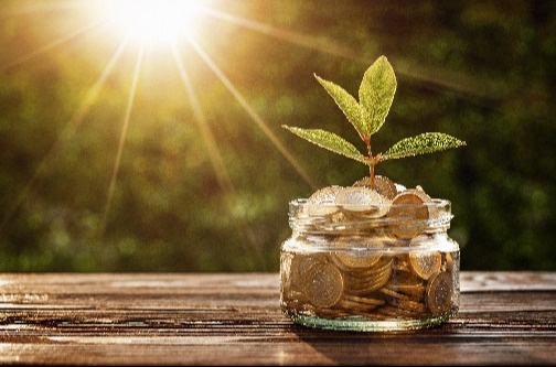 What Is Wealth Management?