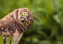 Be Curious, Not Judgmental: The Mindset That Changes Everything