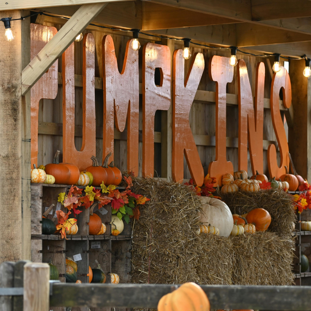 Are You Ready For Fall Festivals and Events? Insurance for Vendors and Organizers
