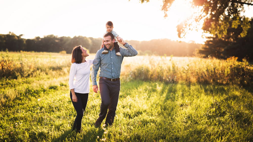 12 Estate Planning Must-Dos