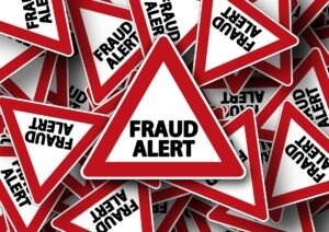 Our November 2024 Newsletter: Fraud Awareness