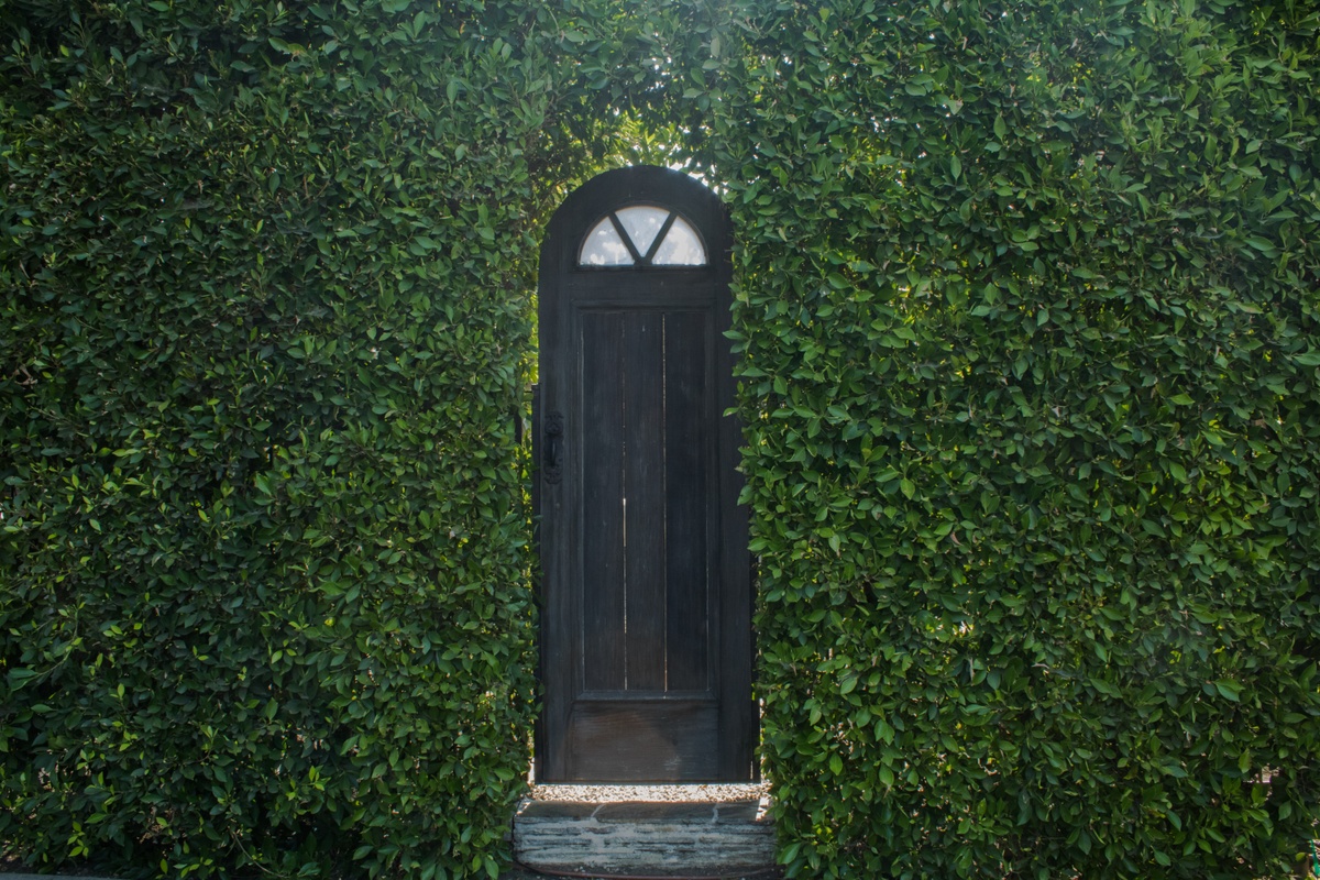 What is a Backdoor Roth IRA Conversion?