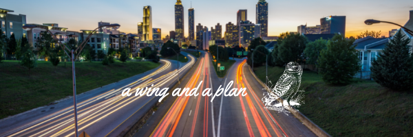 Auto Insurance Q&A