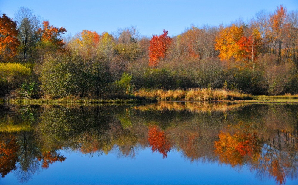 Momentum Carries Into Fall