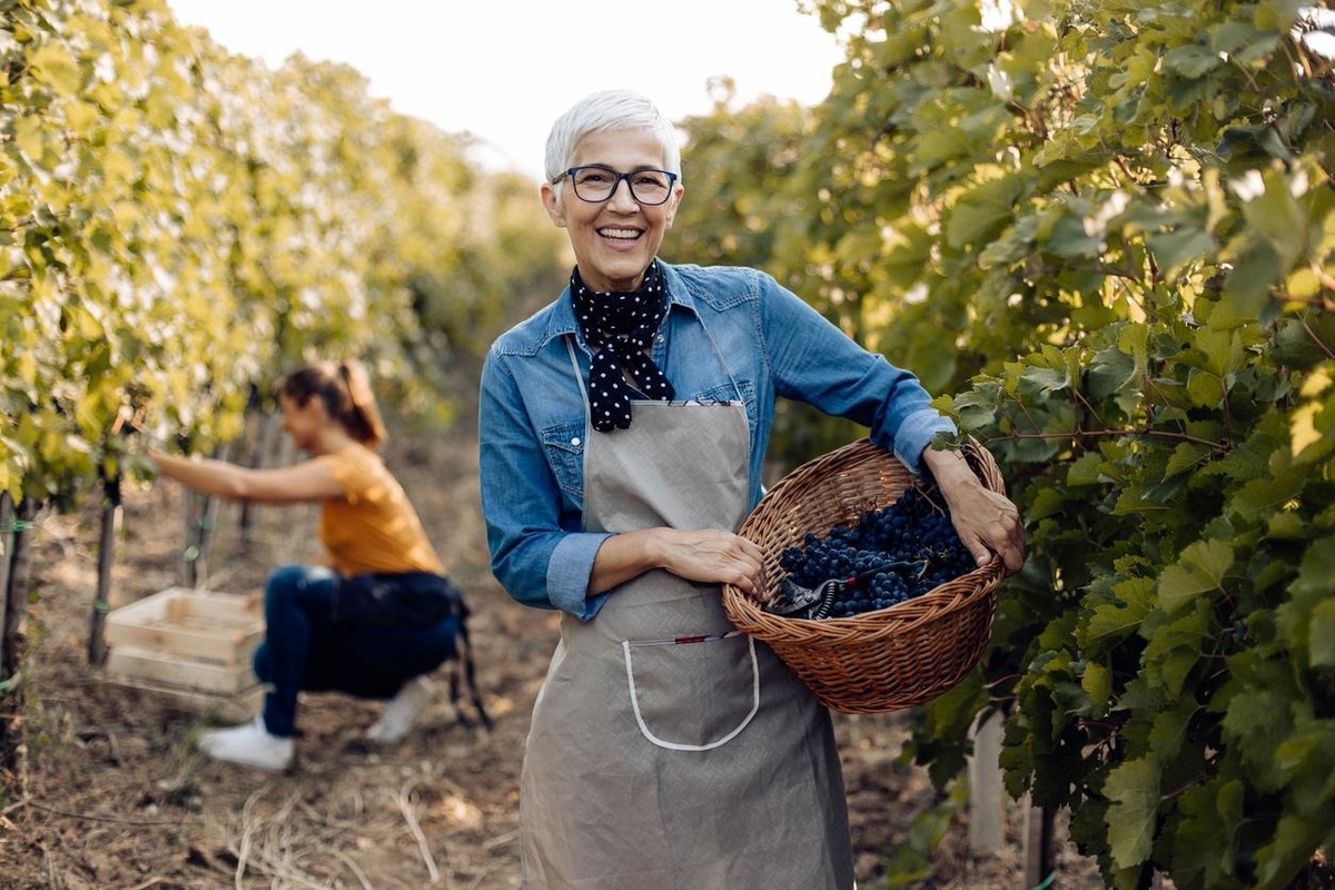 Giving With Intention: How Strategic Philanthropy Fits Into Your Wealth Plan