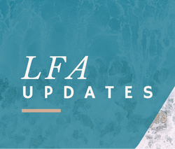 2025 Contribution Limits & Updates