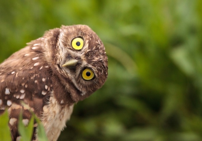 Be Curious, Not Judgmental: The Mindset That Changes Everything