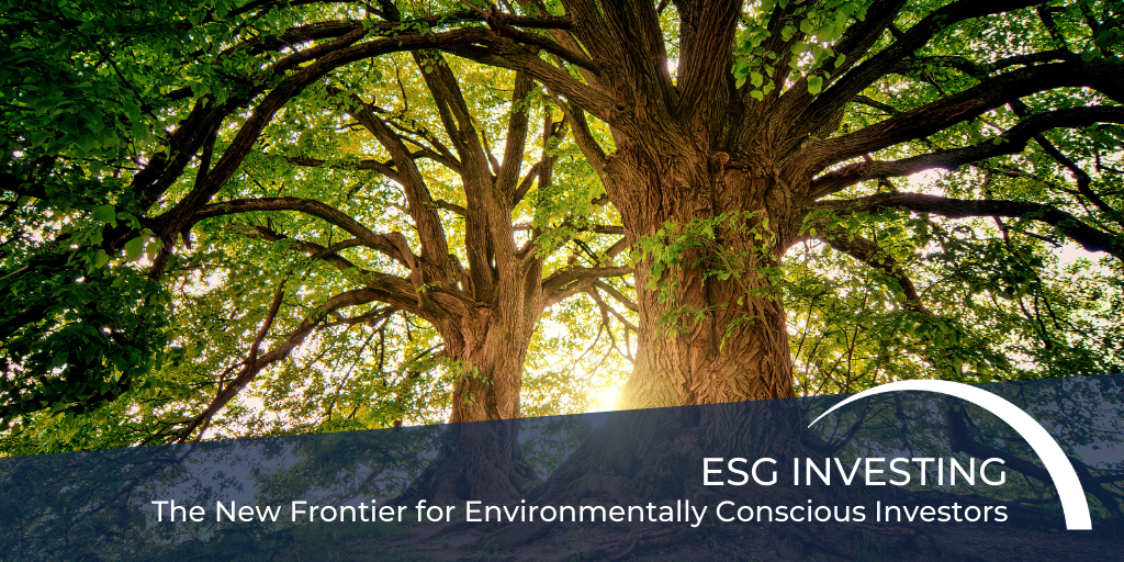 ESG Investing: The New Frontier for Environmentally Conscious Investors
