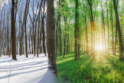 Retirement Is Not a Date. It Is a Transition.