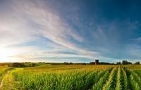“E.S. Whaaaat?” – The Basic Principles of ESG Investing