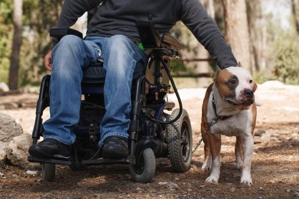 Types of Disabilities: A Clear Guide