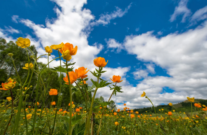 After an odd April, will this month be A 