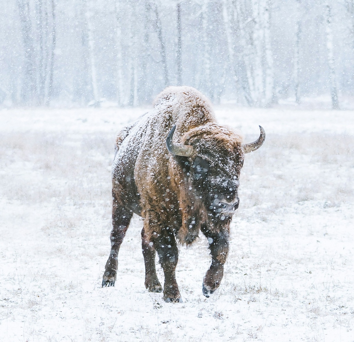 Weekly Market Insights | Investors Read Inflation Risk in Job Numbers