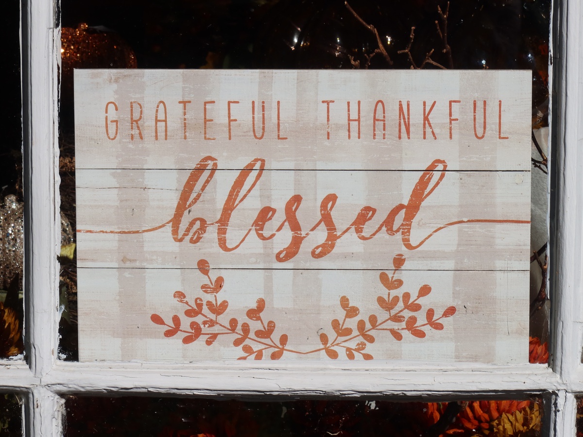 Thanksgiving | What Does it Mean To You?