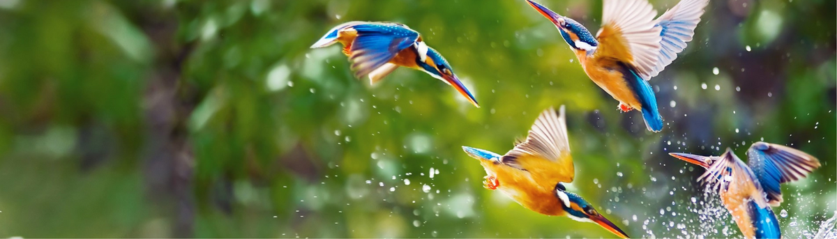 The Early Bird Advantage: Why Timely Year-End Planning is Essential
