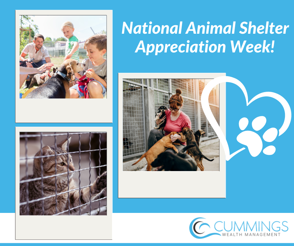 Tips To Help Your Local Animal Shelter