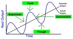 The Business Cycle