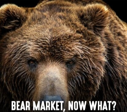 We're in bear country.  What now?