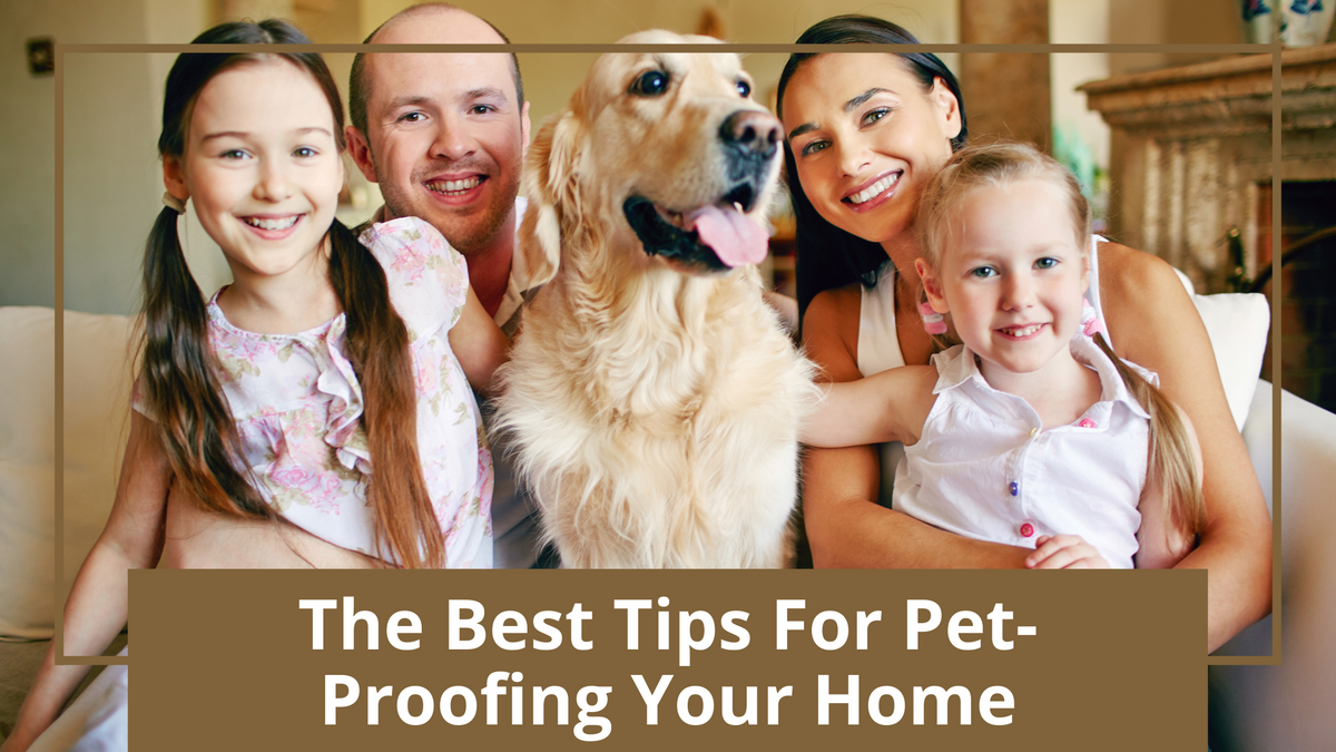 The Best Tips For Pet-Proofing Your Home