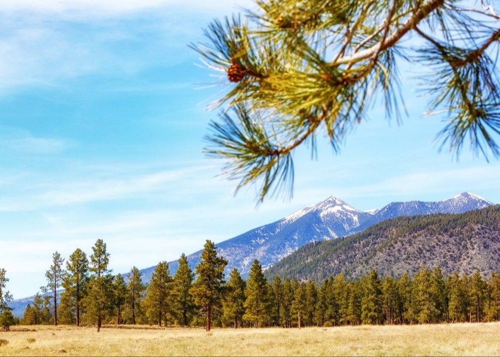 Empowering Business Growth: The Impact of Employee Benefits | Mountain High Excavating