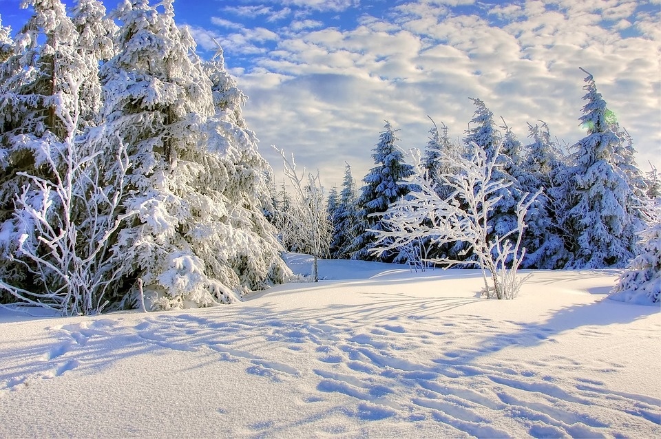 Extreme Winter Weather & Your Insurance
