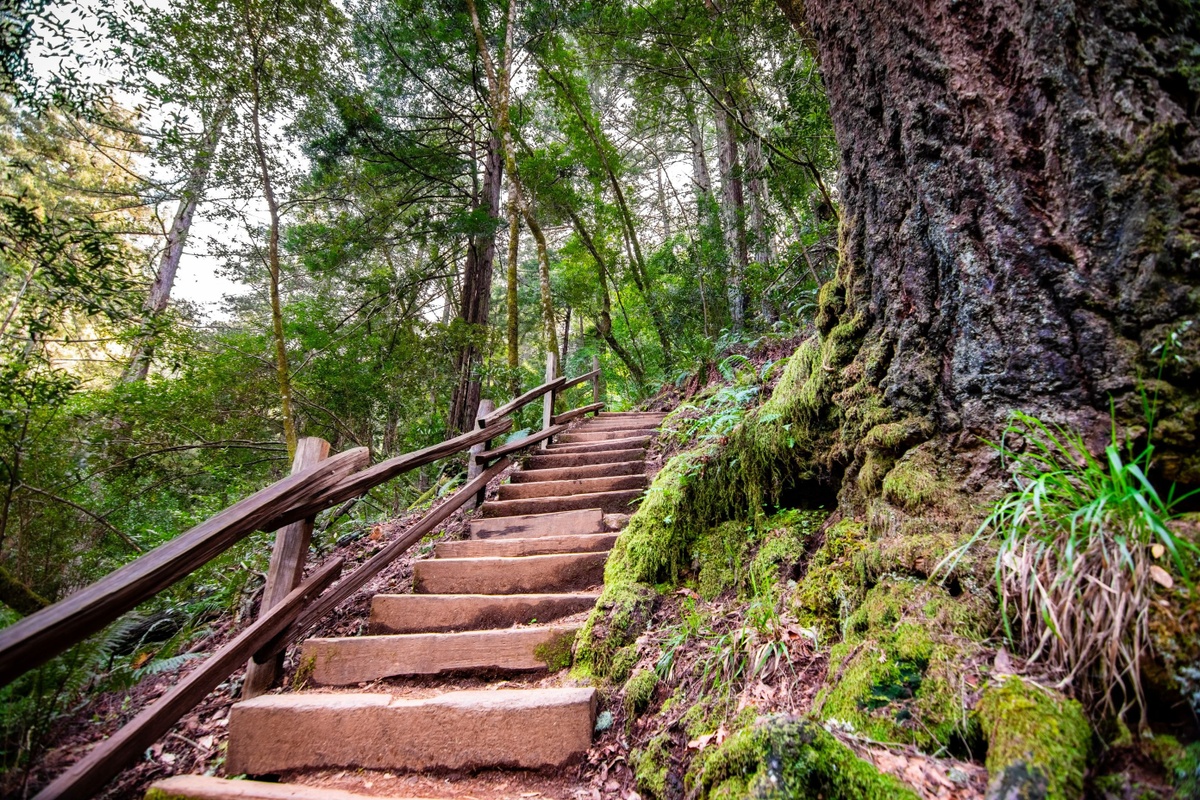 Participant Corner: Four Basic Steps for a Successful Retirement