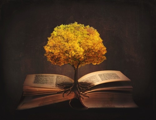 Biblical Financial Principles and 5 Practical Steps
