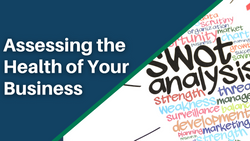 Assessing the Health of Your Business