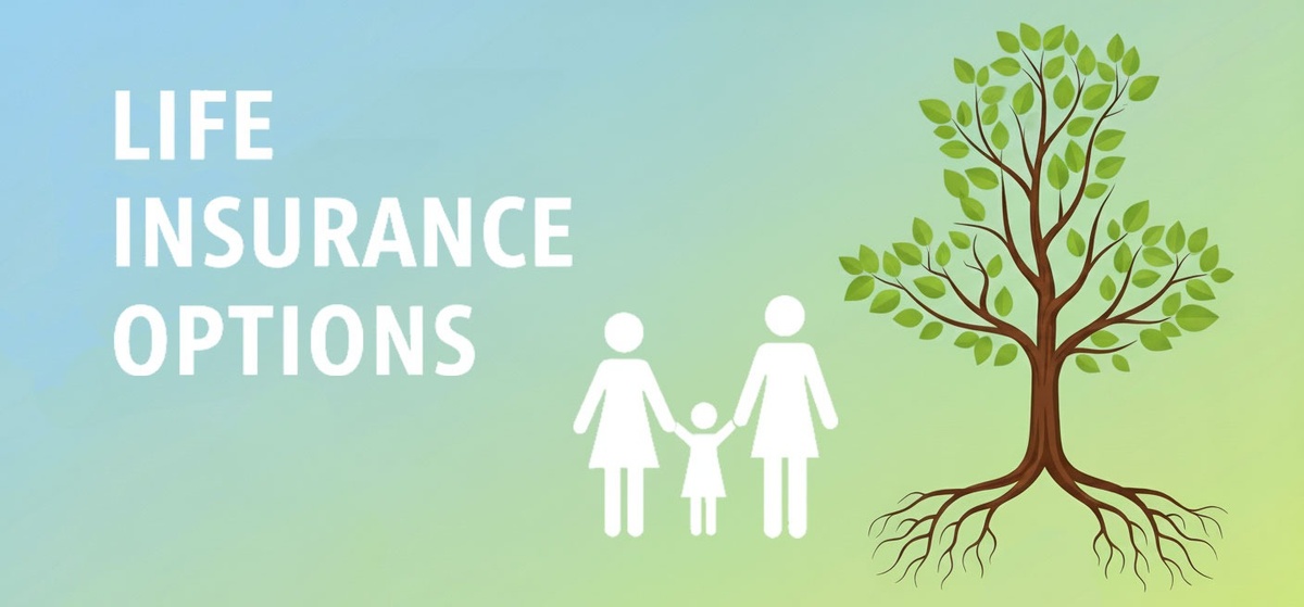 Life Insurance Awareness Month: Your Options