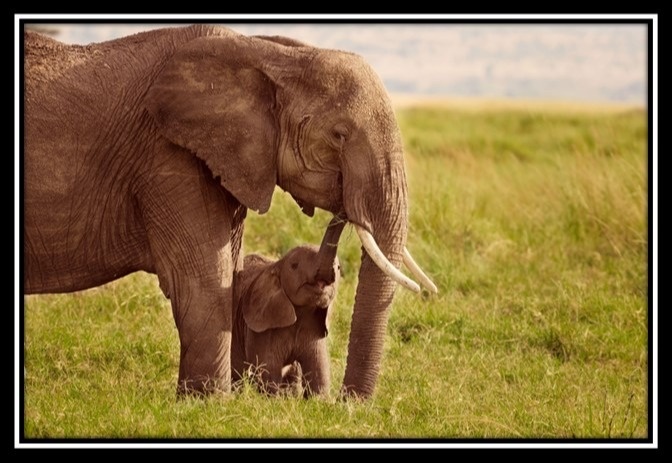 These Important Documents Can Protect Your Loved Ones