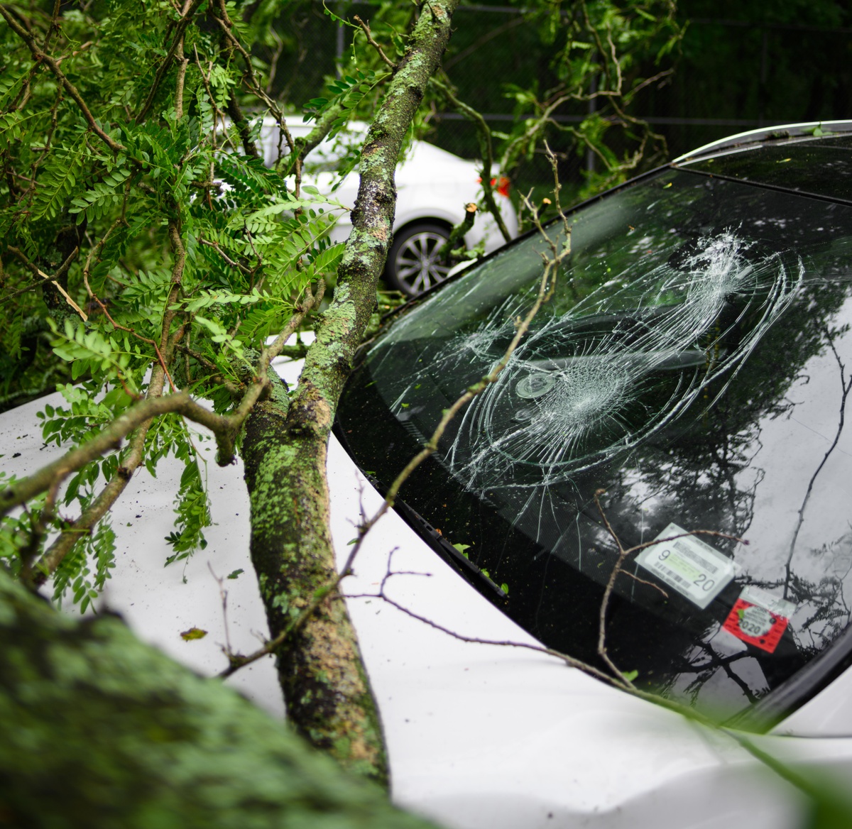 Comprehensive and Collision Insurance