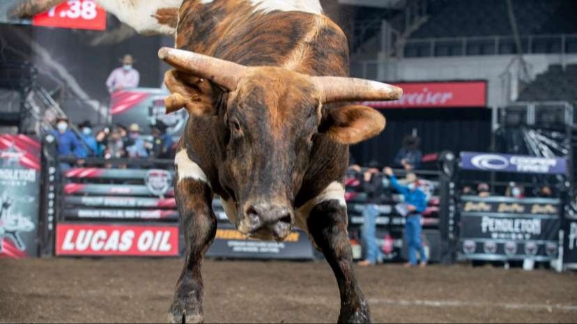 IRM Insurance Presents Your Local Events: Pendleton Whisky Velocity Tour and More