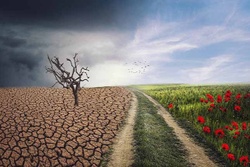 The Changing Retirement Landscape