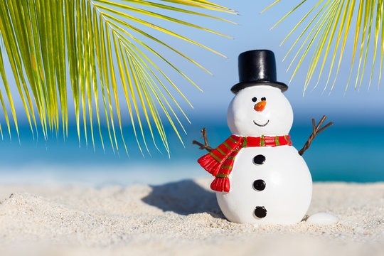 The Estate Planning Pitfalls of Being a Snowbird