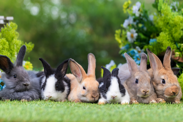 Alternative Lending, Apple and Artemis