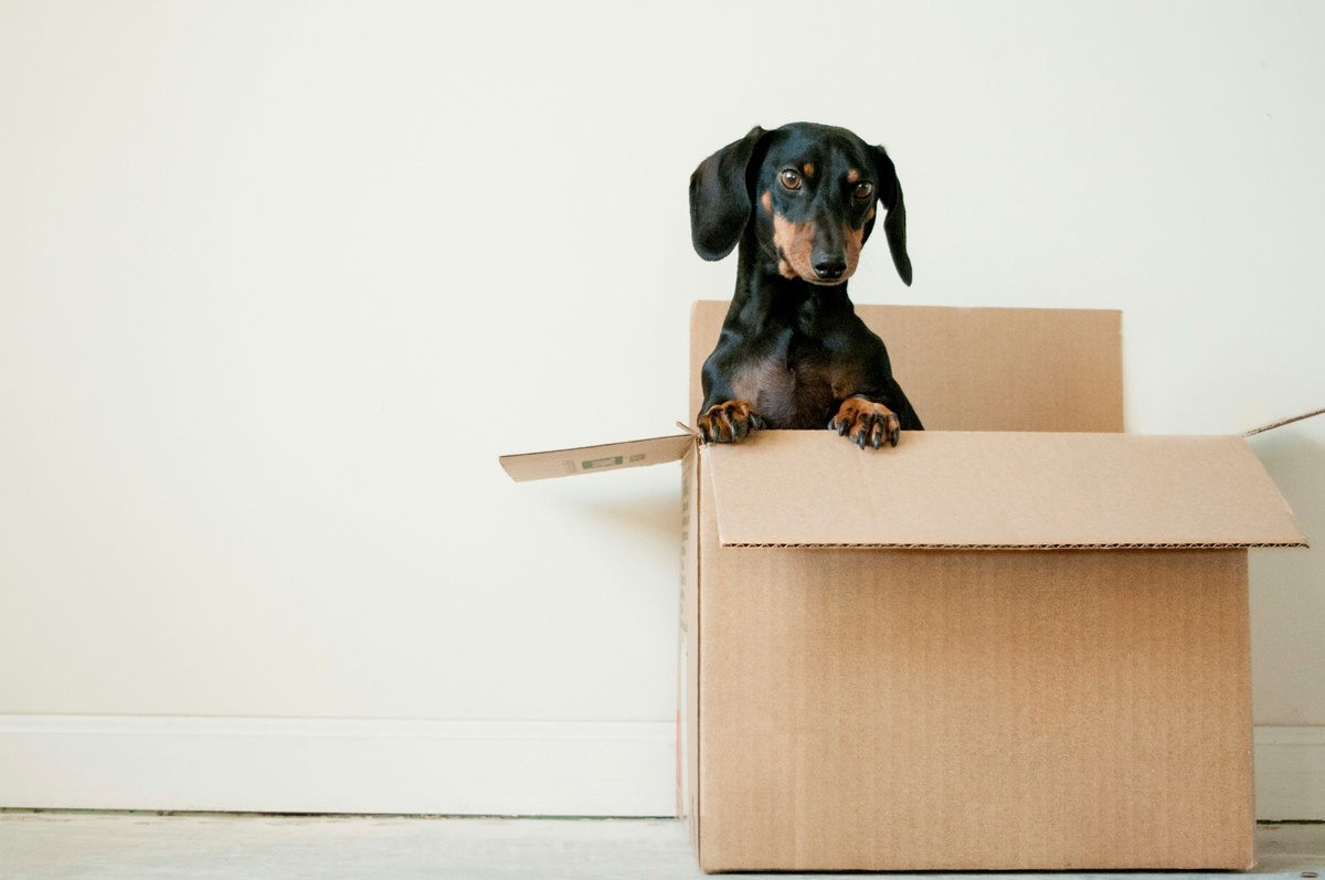 A Guide to Moving to Lebanon, TN: Insurance Tips for New Residents