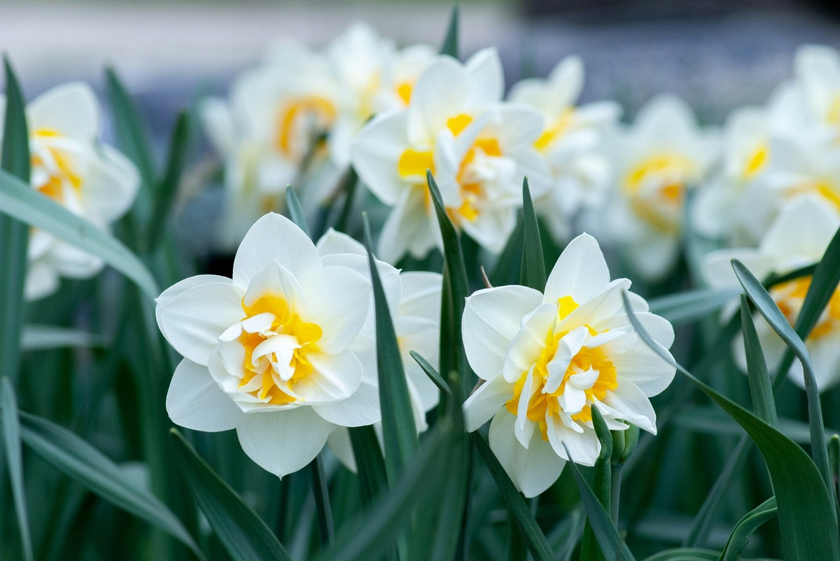 Spring Forward - The DKB Group 2nd Quarter 2026 Newsletter