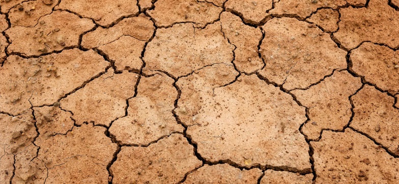 Are You Planning for a Financial Drought?