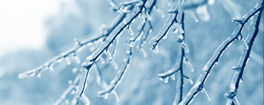 How to Prepare Your Home and Business for Winter