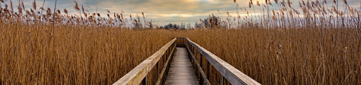 Year-End Financial Moves to Maximize Your Momentum