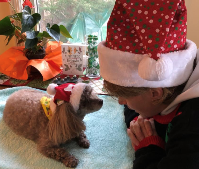 Holiday Cheer