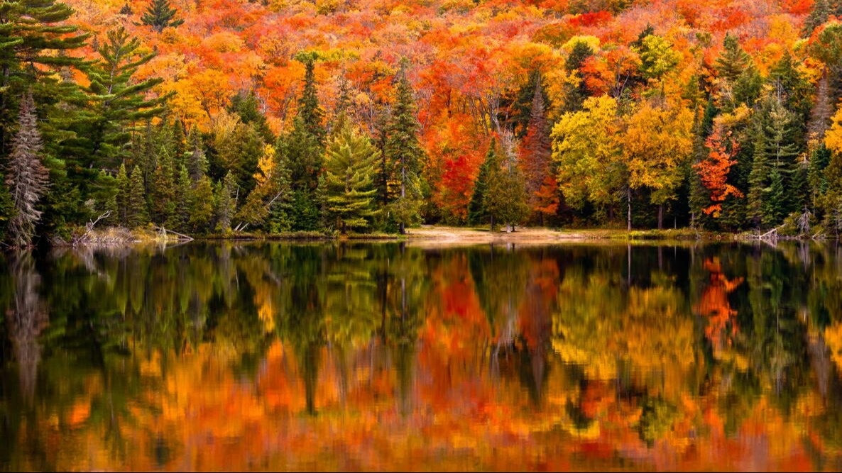 'Tis the season of Gratitude… and Vigilance
