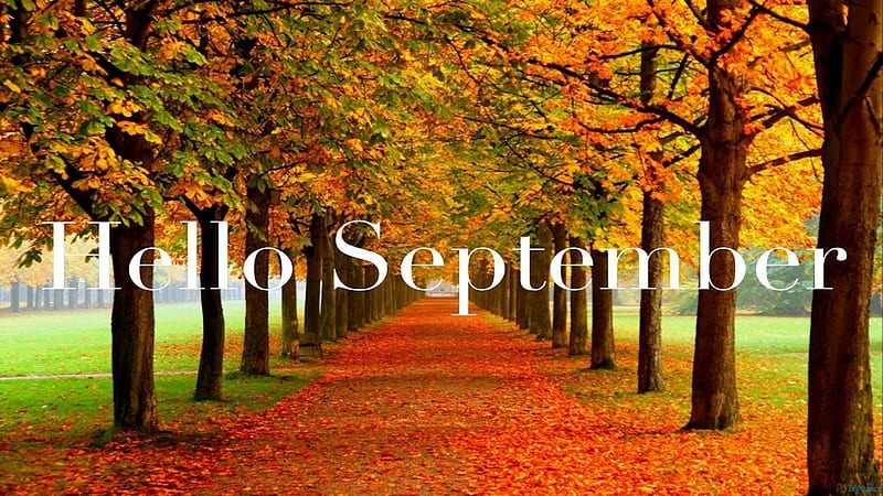 September to Remember?