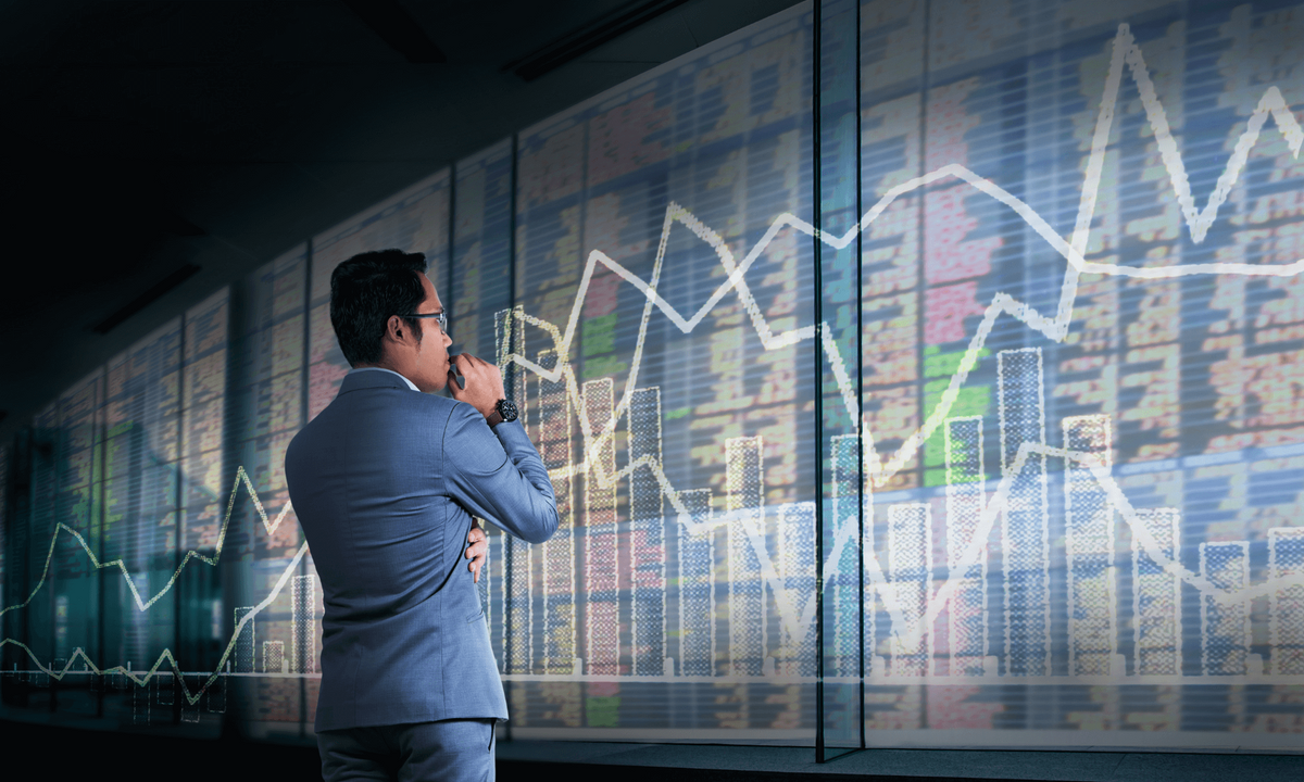 What You Should Do When Facing a Bear Market