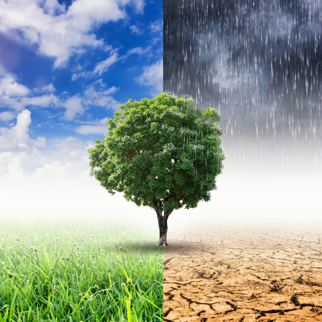 How Seasonal Changes Can Affect Your Commercial Property Insurance
