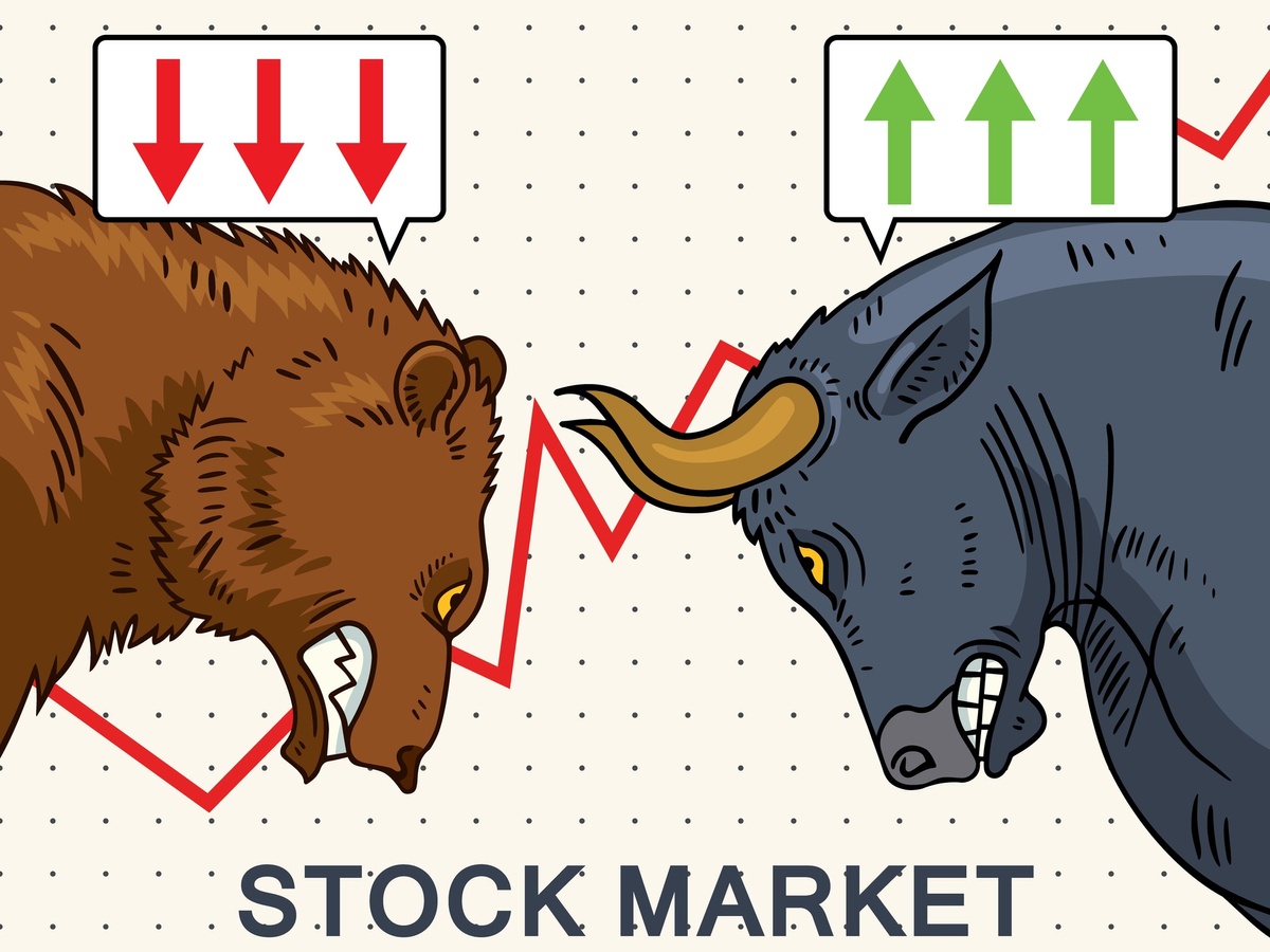 Is This a Bear Market Rally or a New Bull Market?
