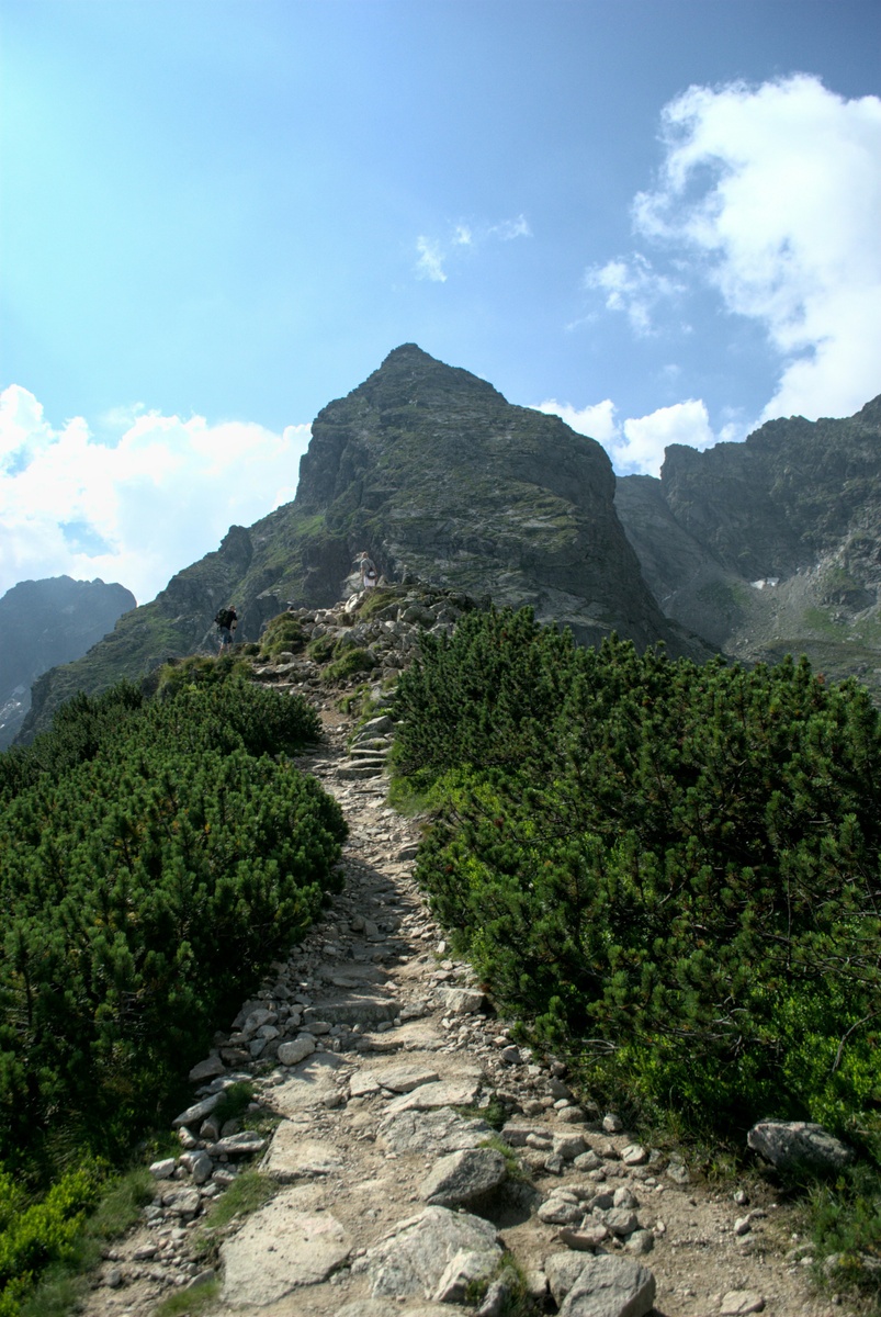 1Q 2024 Market Commentary