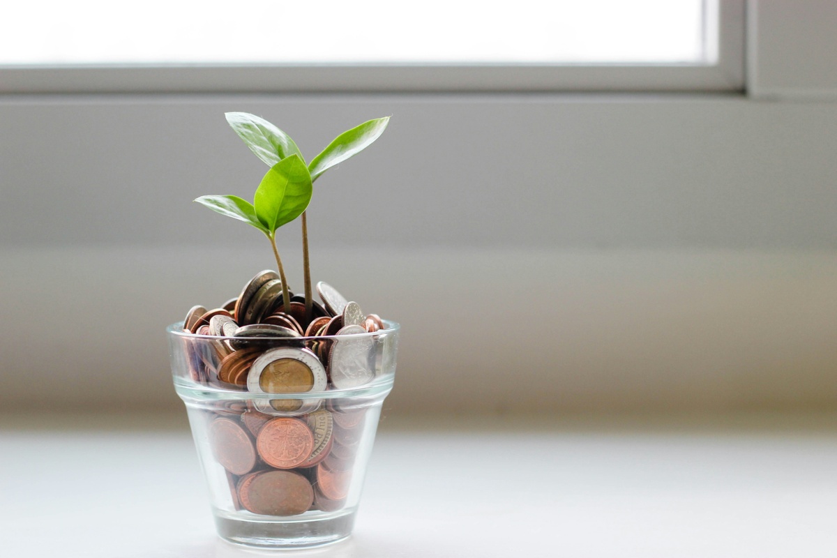 How Business Owners Can Maximize Their Financial Potential